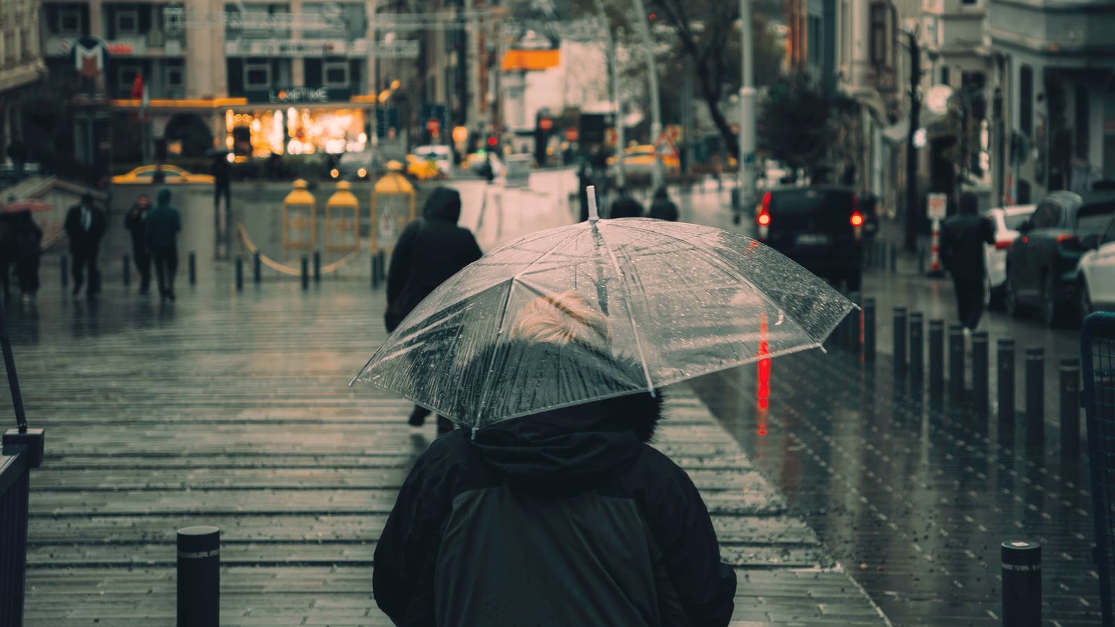 Person with an umbrella walking in the rain, seen from behind